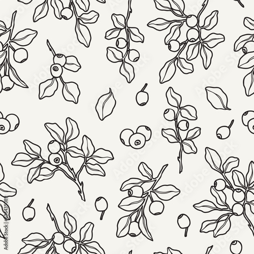Line art vector blueberry seamless pattern
