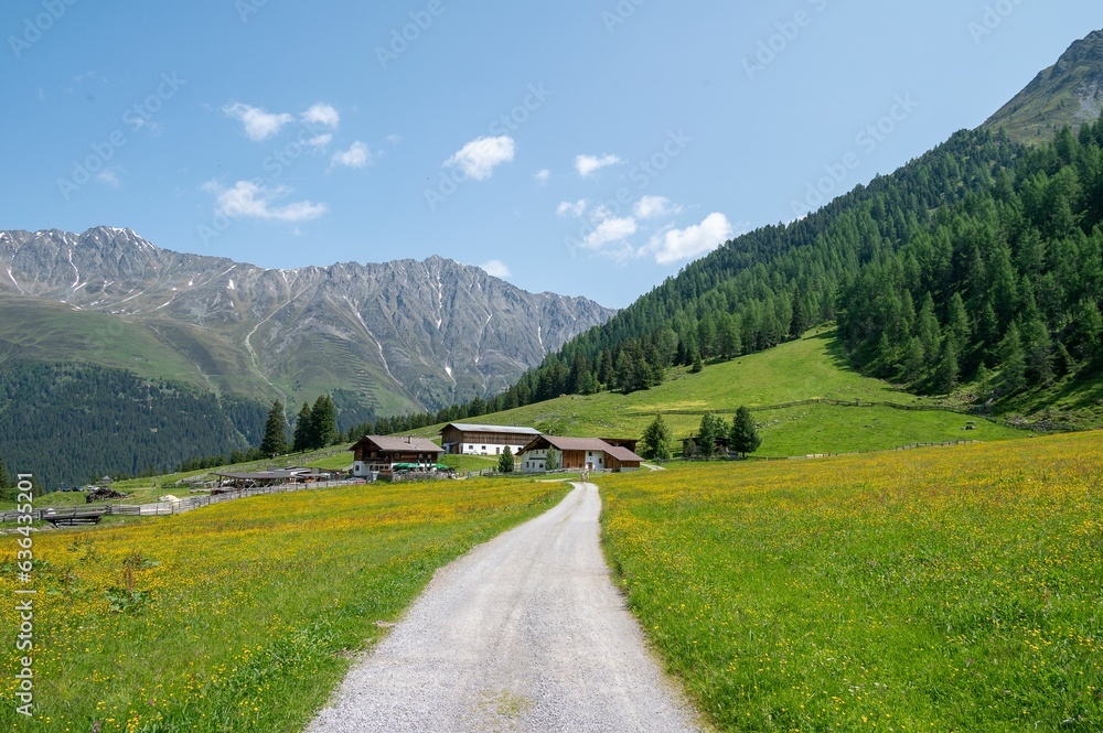 Landscape of a hiking trail surrounded by greenery in the Alps in Tyrol, Austria