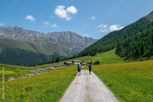 Landscape of a hiking trail surrounded by greenery in the Alps in Tyrol, Austria © Nadja Knapp/Wirestock Creators