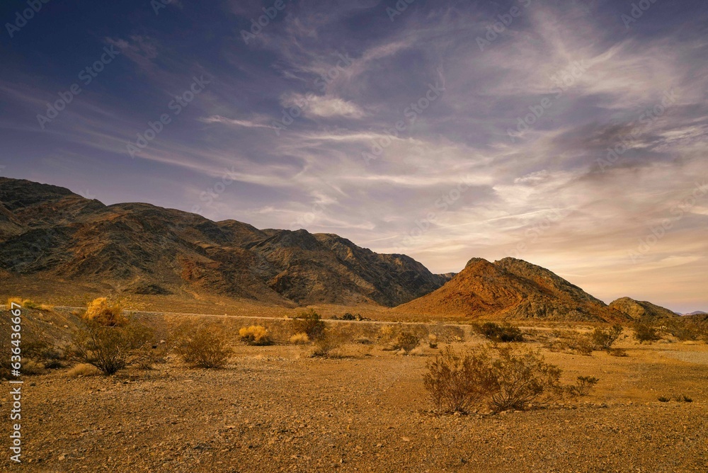 a desert plain with mountains and trees in the background at sunset