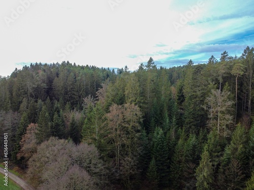 Wallpaper Mural Bird's-eye view of a dense forest under a cloudy sky Torontodigital.ca