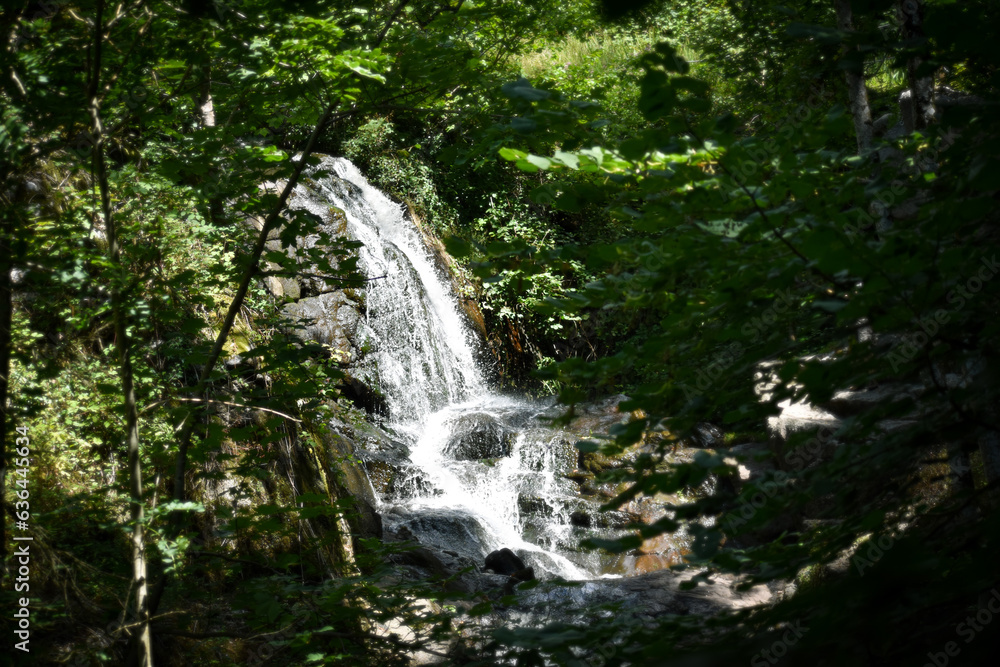 Cascade des gorges de Narvau à Lormes dans le Morvan - Cascade dans la forêt - Paysage calme et bucolique - Forêts françaises