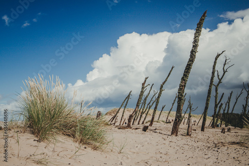 Slowinski National Park in Poland  moving dunes