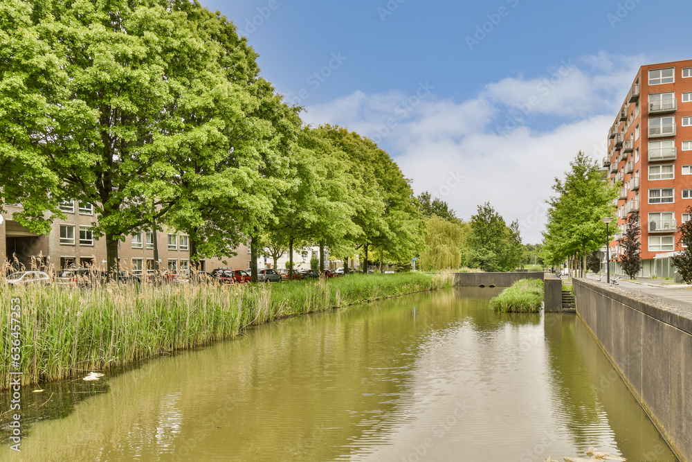 some buildings and trees along the water's edge in an urban area with green foliage on either side of the river some buildings and trees along the water's edge in an urban area with green foliage on either side of the river