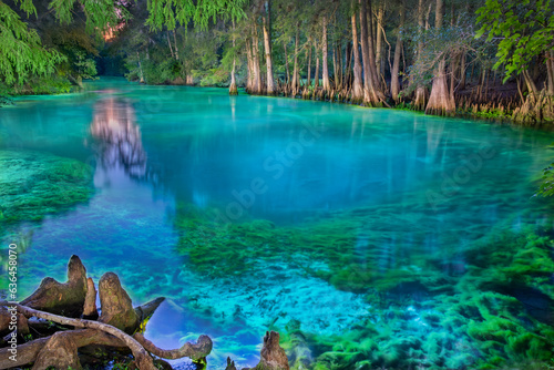 Obraz na plátně Manatee Springs Illuminated at Night, Levy County, Florida