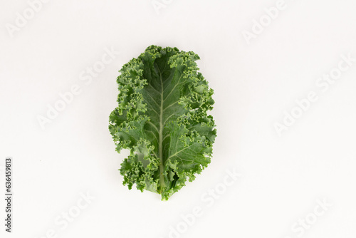 Isolated green kale leaf close up