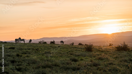 Epic sunset at Addo Elephant National Park, South Africa