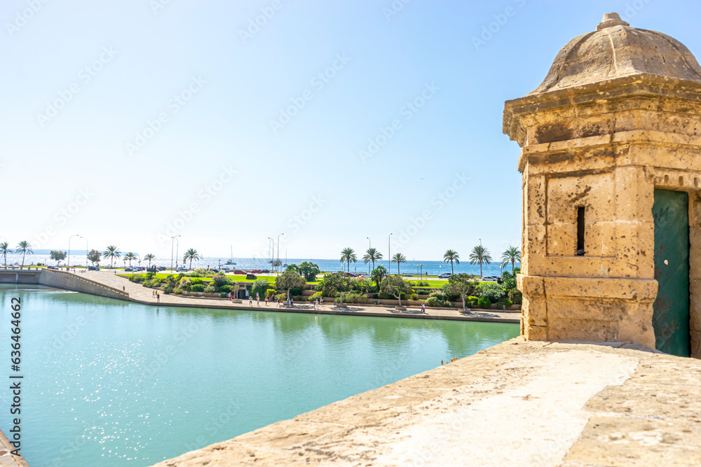 Obraz premium Spain's Sacred Stone: Exterior Glory of Mallorca Cathedral