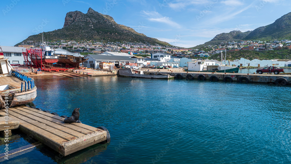 Hout Bay Harbour, Cape Town, South Africa