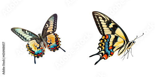 A stunning butterfly flies alone against a transparent background Fivebar Swordtail