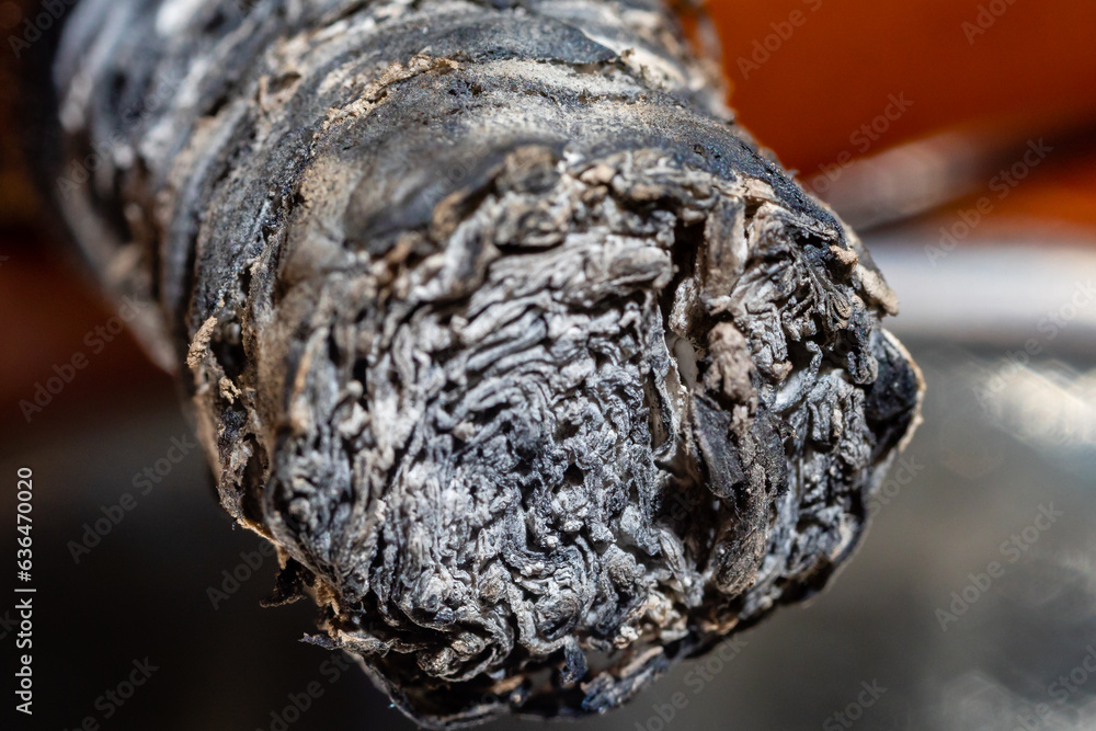Traditional Cuban cigar with ash macro detail Traditional Cuban cigar with ash macro detail