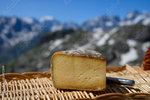 Cheese collection, Tomme de Savoie cheese from Savoy region in French Alps, mild cow's milk cheese with beige interior and thick brownish-grey rind close up photo