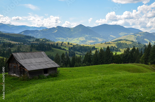 Green meadow with wooden shepherd house and mountain range on background. Carpathian Mountains, Ukraine