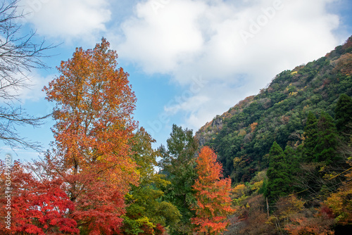 耶馬溪 大分県｜日本新三景に選ばれた紅葉は見事でした © 昇 青山
