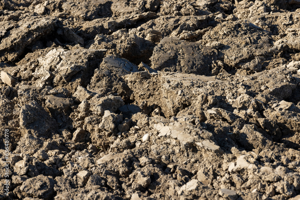 Preparation of soil for sowing plants Preparation of soil for sowing plants
