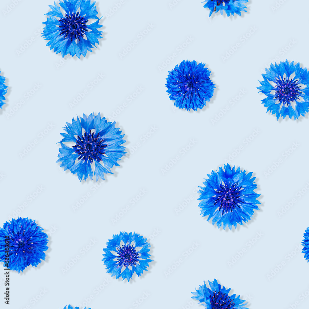 Seamless pattern of cornflower flowers on light blue background