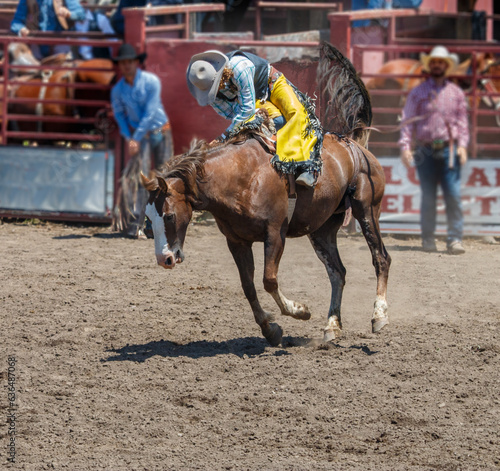 A rodeo cowboy is riding bareback on a bucking bronco. He is in an arena with dirt flying from the kicking horse. There is fence railing in the background. The cowboy is wearing a black vest. © Timothy