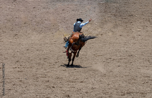 Quadro em tela A rodeo cowboy is riding a bucking bronco