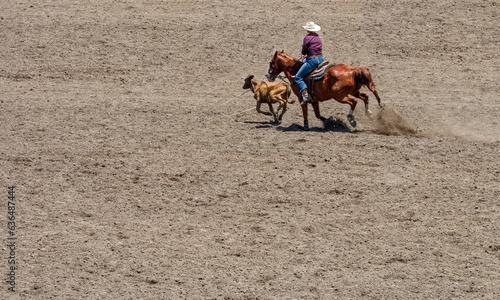 A cowgirl is riding a horse in pursuit of a calf. She is trying to lasso the calf in a rodeo competition call Break Away Roping. The cowgirl is wearing a red with a white hat. The horse in brown. 