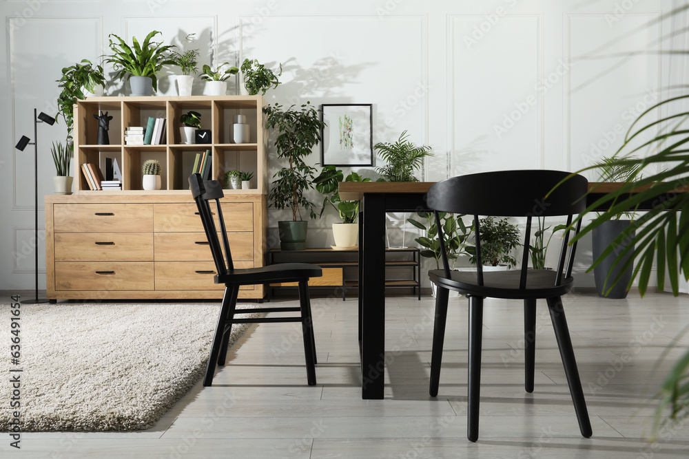 Fototapeta premium Table with chairs and wooden shelving unit, books and many potted houseplants in stylish room
