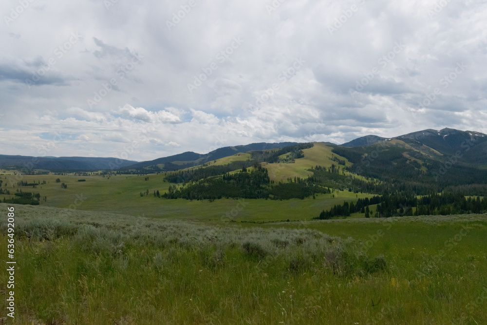 Hills And Meadows Of Yellowstone National Park. July 2023.