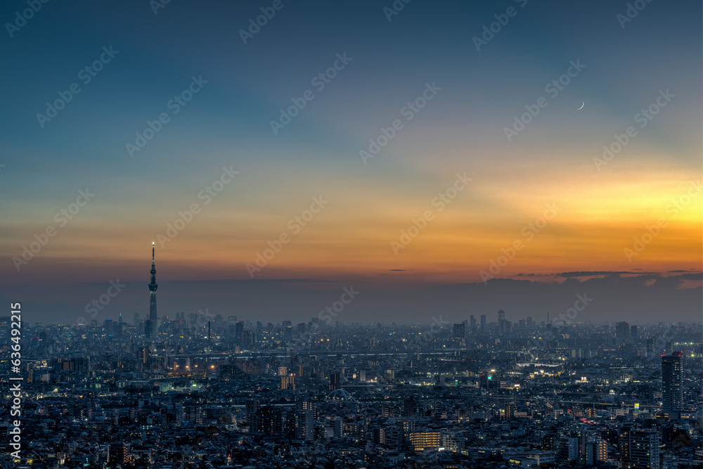 Cityscape of greater Tokyo area with crescent moon at magic hour.