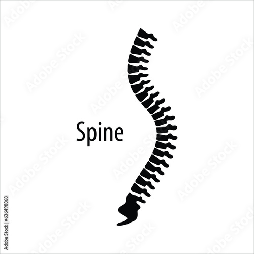 Human spine  anatomy  backbone icon. flat illustration on white background.