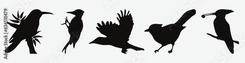 Captivating Collection of Artistic Woodpecker Silhouettes  Diverse Set for Creative Projects