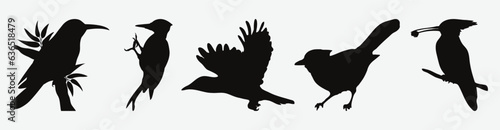 Captivating Collection of Artistic Woodpecker Silhouettes, Diverse Set for Creative Projects
