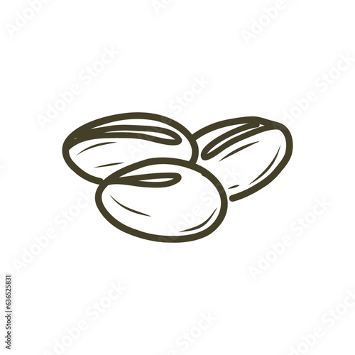 Roasted coffee bean, Hand drawn coffee vector color illustration