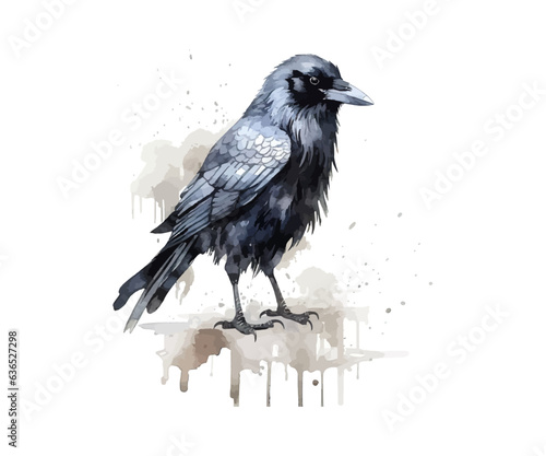 Crow watercolor. Vector illustration design