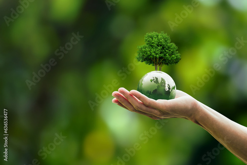 Global sustainable environment concept - ESG, net zero, eco, co2, carbon, human hand holding green globe orb with growing tree save our planet, world environment day, earth day and climate change