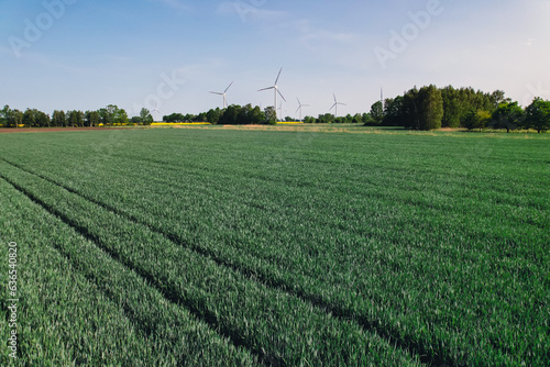 Wind turbine on grassy green field against cloudy blue sky in rural area. Offshore windmill park with clouds in farmland Poland Europe. Wind power plant generating electricity. Renewable green clean