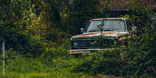 old pick up in the woods
