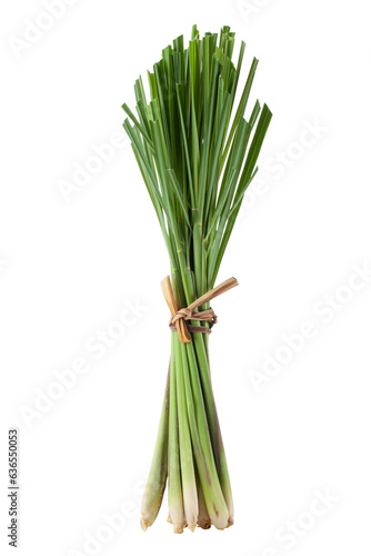 fresh lemongrass isolated on a white background.