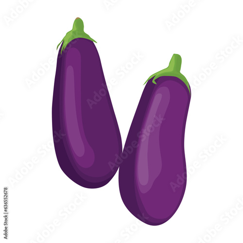 Vector illustration of set eggplants vegetable in cartoon flat style. Bright purple violet of Aubergine Solanum melongena healthy food nutritious isolated in white background. Edible nature for diet