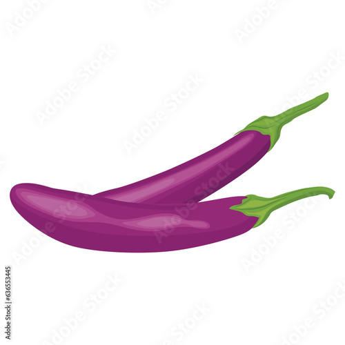 Vector illustration of set eggplants vegetable in cartoon flat style. Bright purple violet of Aubergine Solanum melongena healthy food nutritious isolated in white background. Edible nature for diet