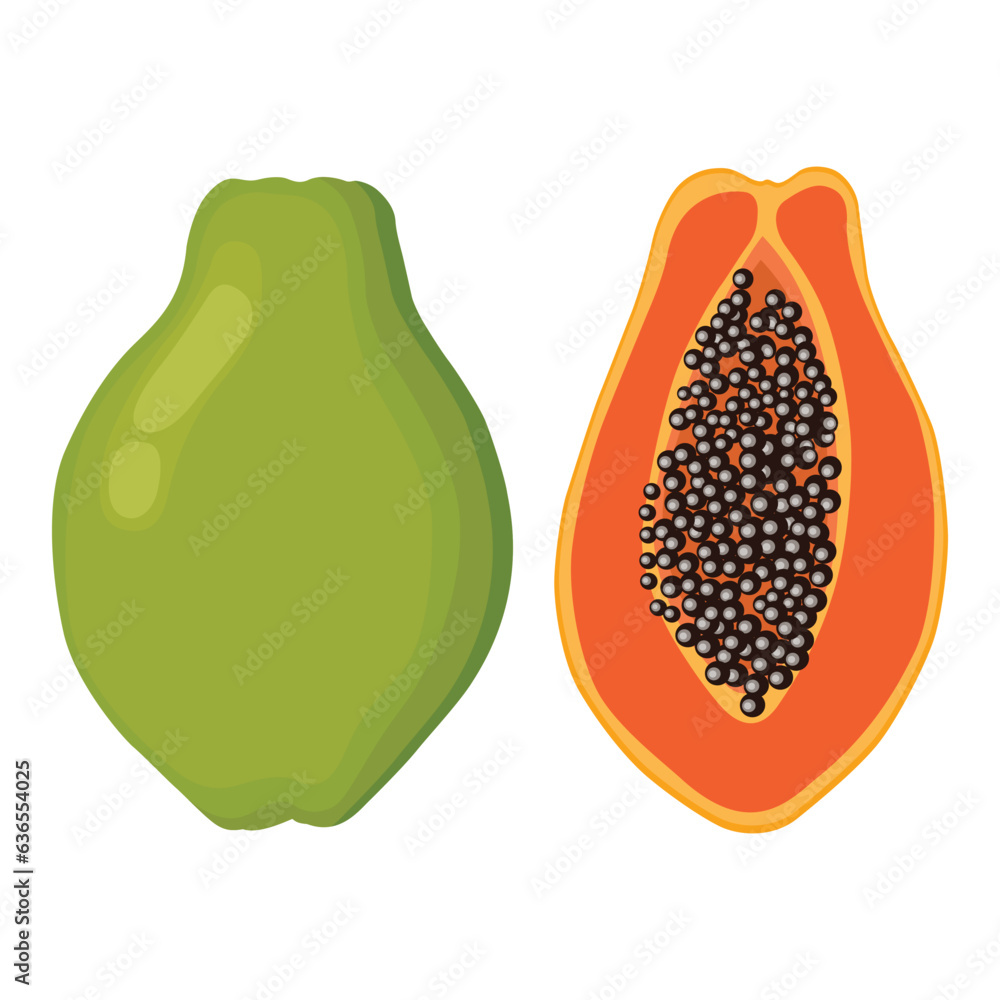 Vector illustration of set papaya fruit whole and sliced. Illustration in cartoon flat style, Carica papaya healthy food for diet vegan isolated white background. Elements for logo, Vector illustration of set papaya fruit whole and sliced. Illustration in cartoon flat style, Carica papaya healthy food for diet vegan isolated white background. Elements for logo,