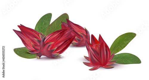 Roselle group isolated on white background. 3D realistic vector illustrations. Food concepts. photo