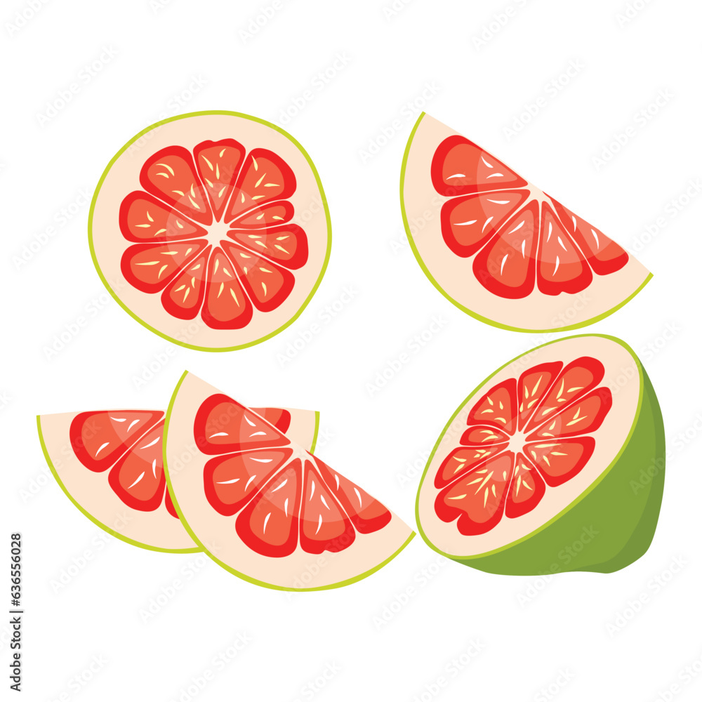 Vector illustration red, green and yellow pomelo in cartoon flat style. Grapefruit orange tropical whole and sliced isolated on white background, fresh food nature, agricultural tropical product Vector illustration red, green and yellow pomelo in cartoon flat style. Grapefruit orange tropical whole and sliced isolated on white background, fresh food nature, agricultural tropical product