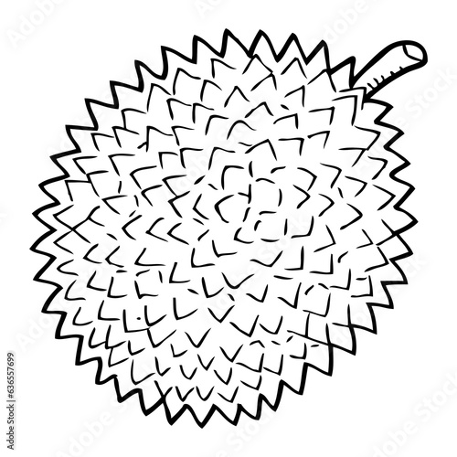 durian fruit line vector illustration