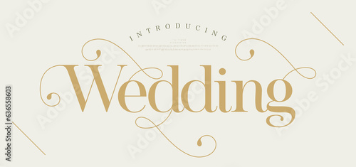 Wedding alphabet letters logos font with tails. Typography elegant oriental luxury classic serif fonts and number decorative vintage retro for logo branding. vector illustration