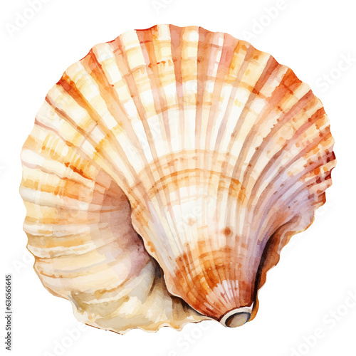 beautiful shell watercolor illustration, generative AI