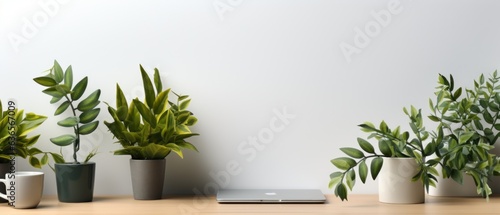 Workspace with laptop computer and potted plants on wood table.