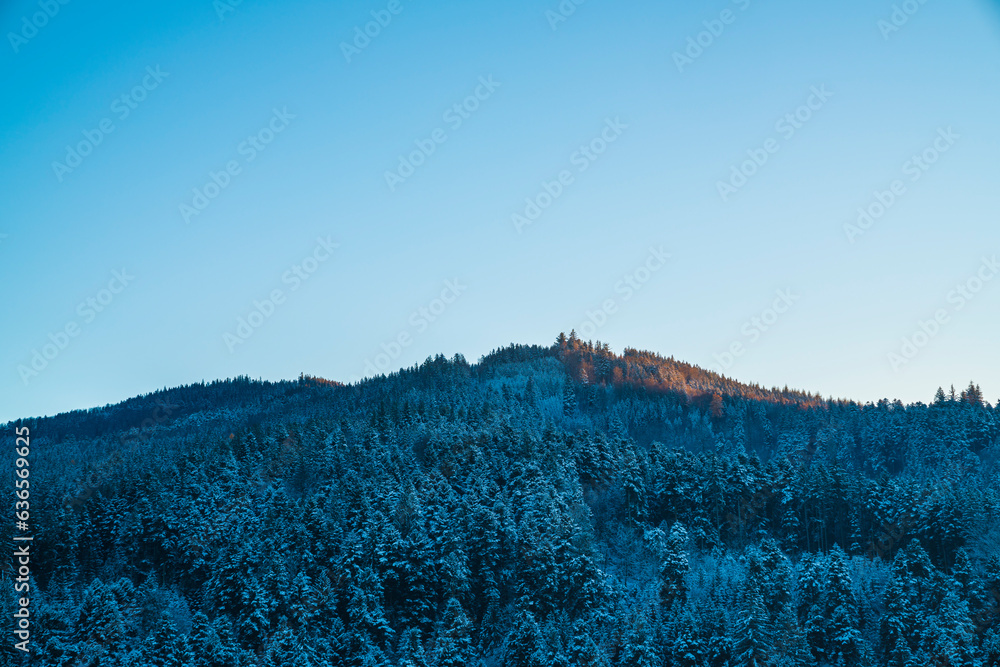 Germany, Sunrise light on beautiful black forest schwarzwald mountains snow covered cold winter morning panorama view above tree tops