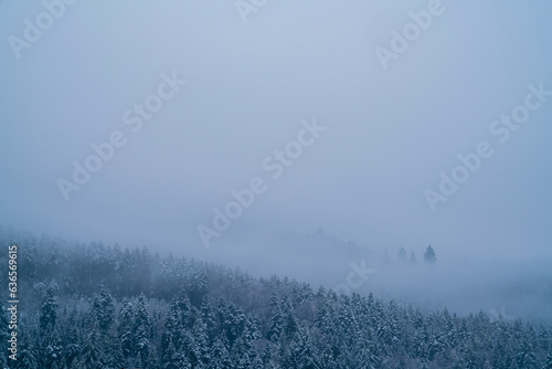 Obraz na płótnie Germany, White snow trees black forest schwarzwald mountains snowy forest ice cold winter morning panorama view above tree tops w salonie