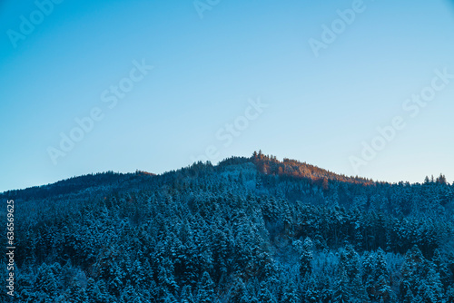 Obraz na płótnie Germany, Sunrise light on beautiful black forest schwarzwald mountains snow covered cold winter morning panorama view above tree tops w salonie