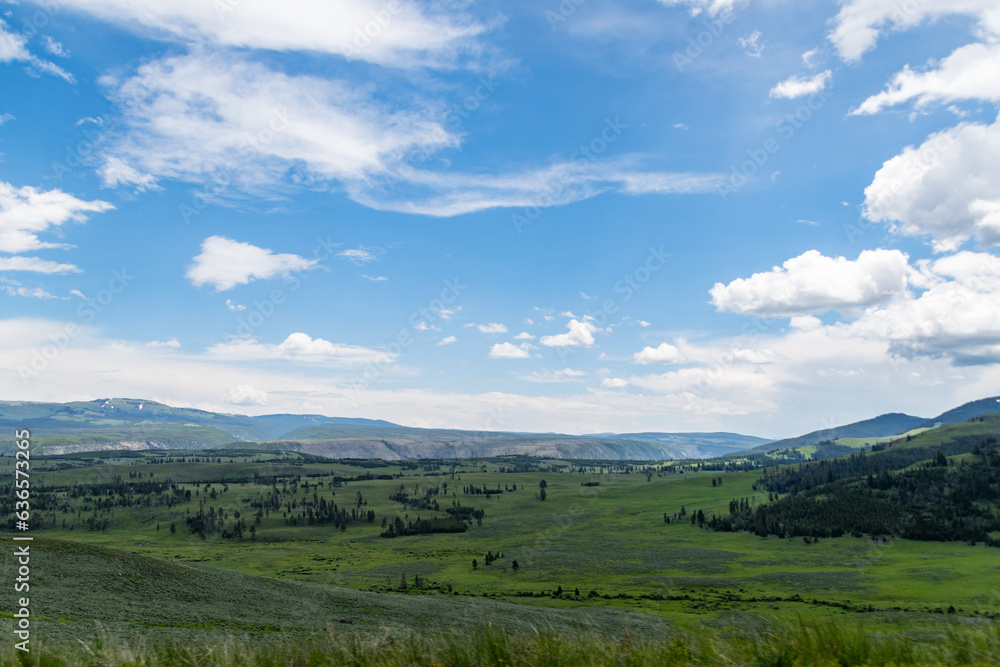 Prairie Views of Yellowstone National Park in Summer Prairie Views of Yellowstone National Park in Summer