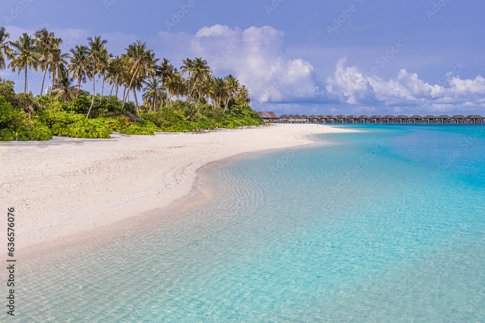 Beautiful tropical beach banner. White sandy coast coconut palm trees travel tourism wide panoramic island. Amazing beach landscape. Exotic nature, sunny tranquil peaceful inspire seascape blue sky