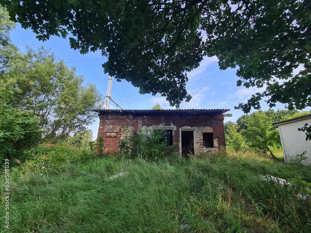 eine Ruine in der Martensdorfer Natur